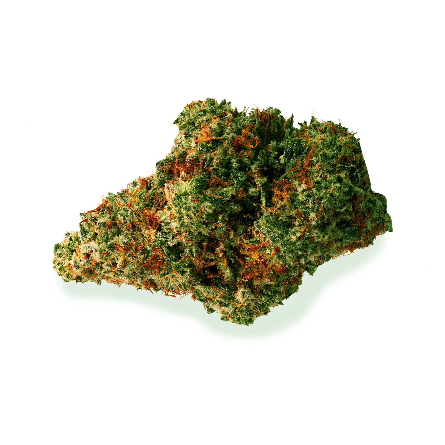 Featured image for “Cherry Bomb Strain”