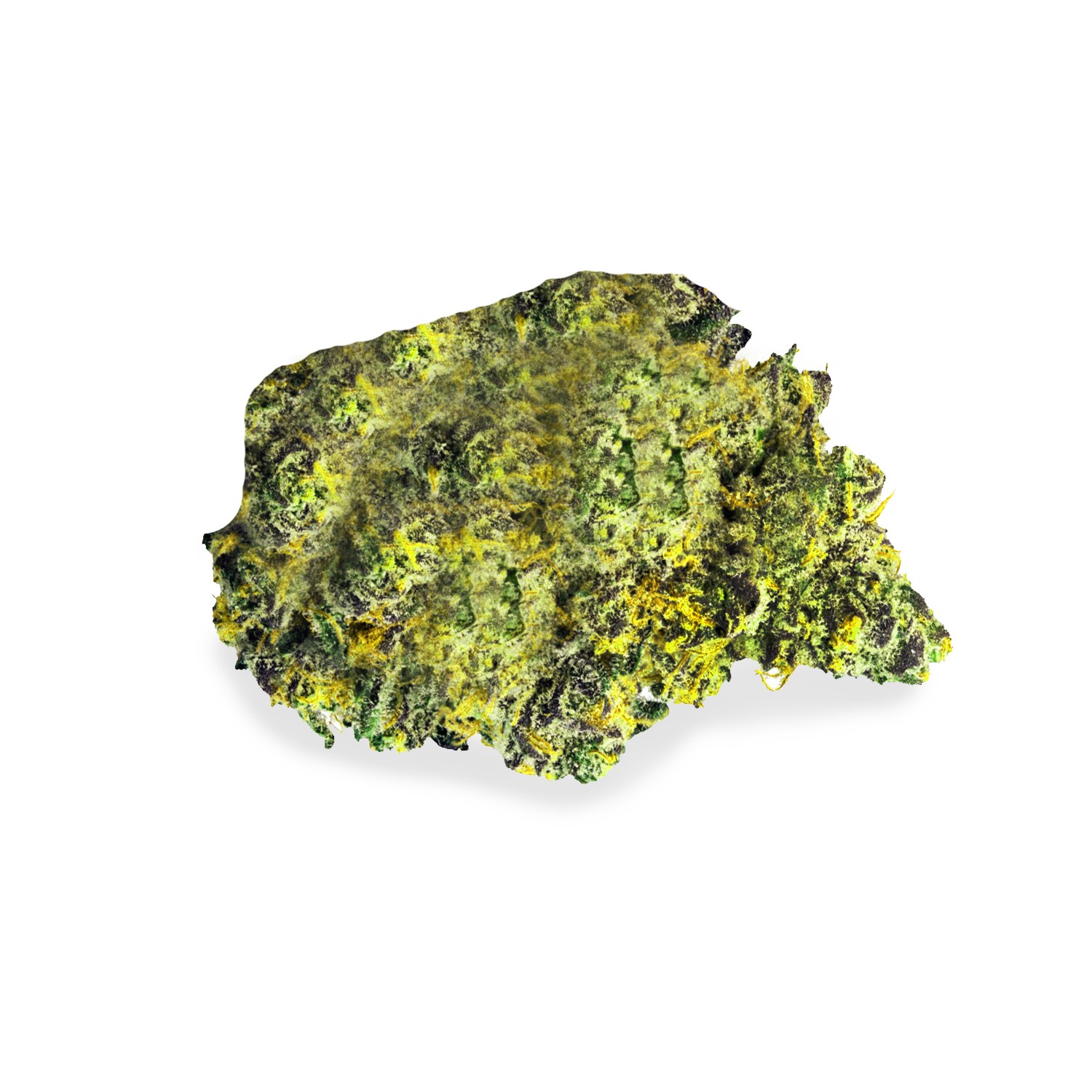 Featured image for “Cherry Fritter Strain”