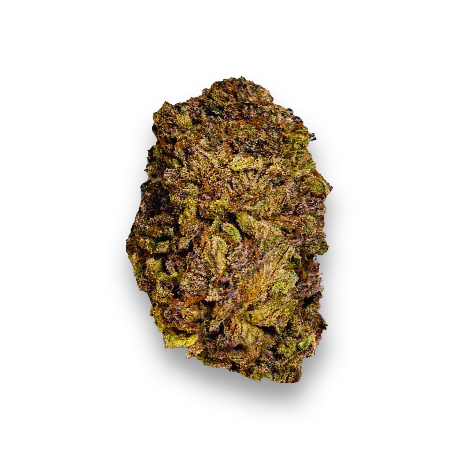 Featured image for “Cream Pie Strain”