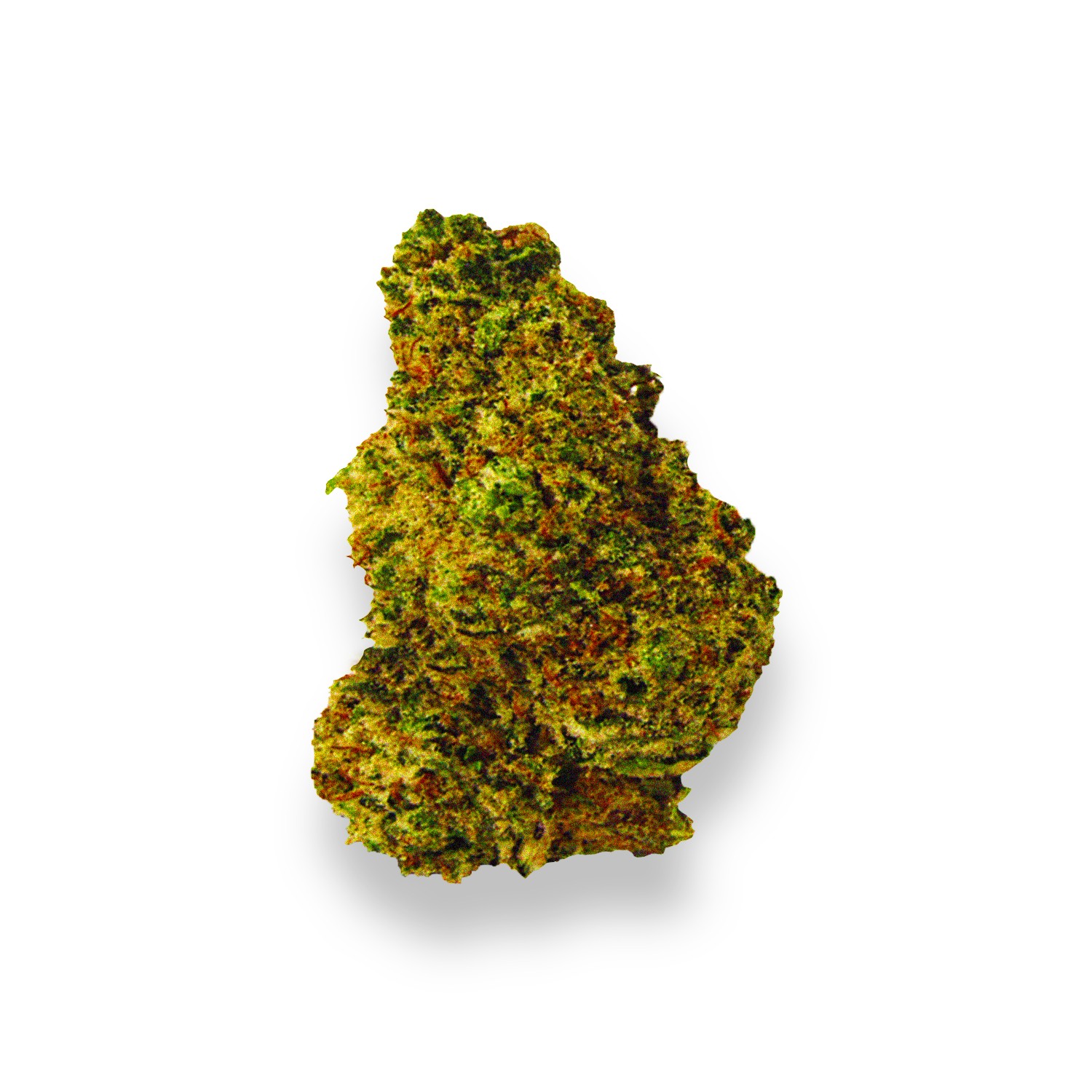 Featured image for “Cream Strain”