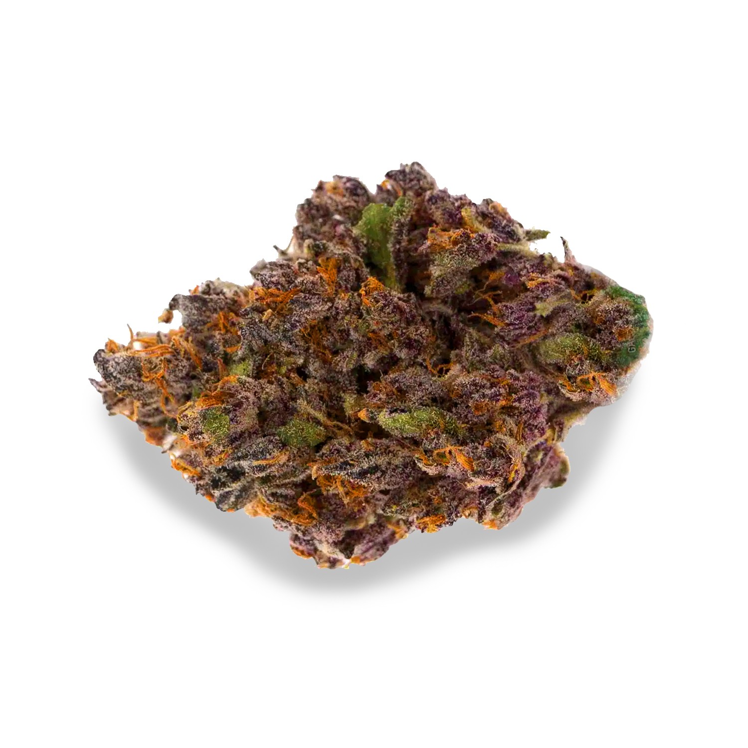 Featured image for “Critical Bilbo Strain”