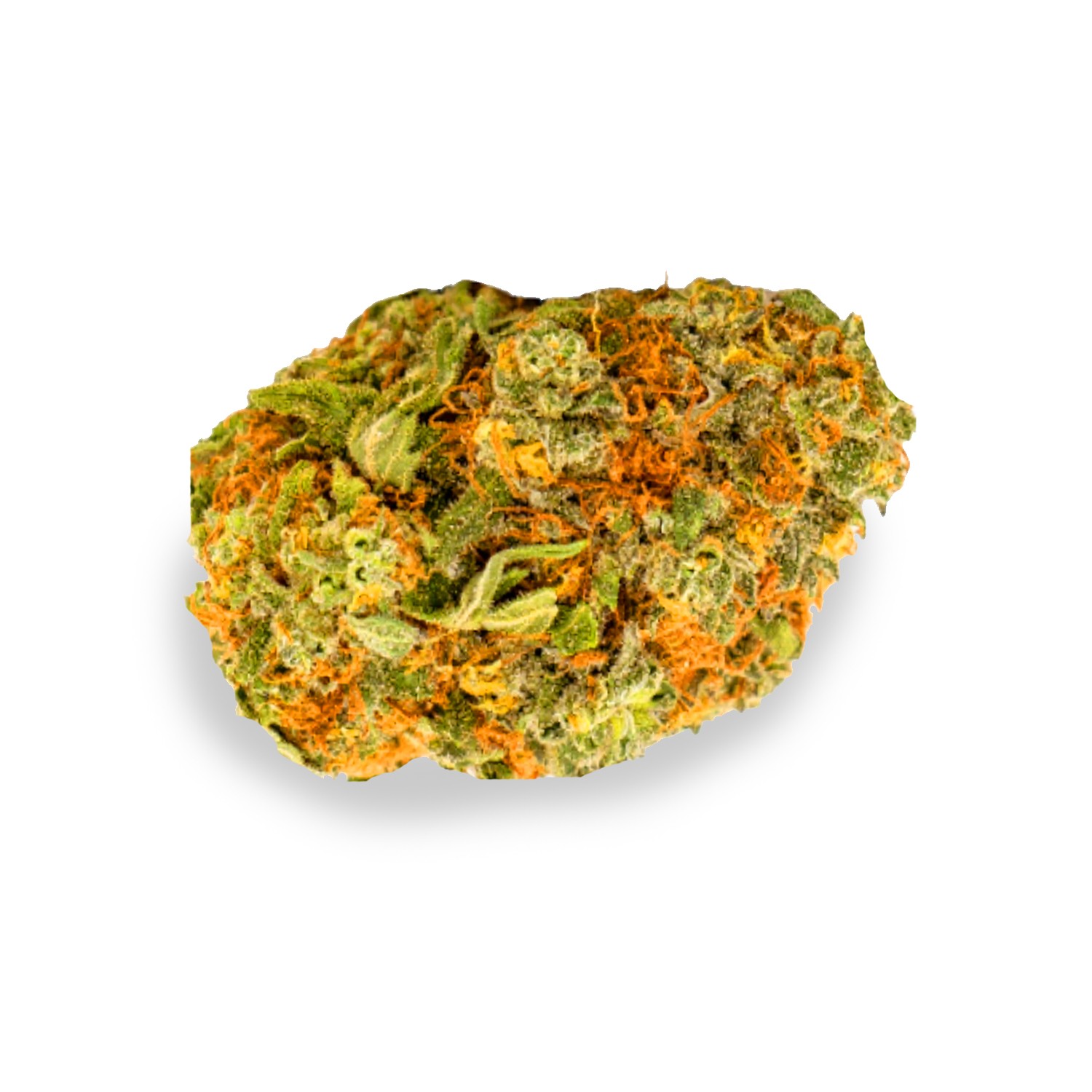 Featured image for “Daywalker Strain”