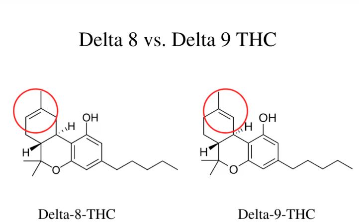 Delta 8 vs. Delta 9 THC: What’s the Difference? 1 delta-8vs-delta-9