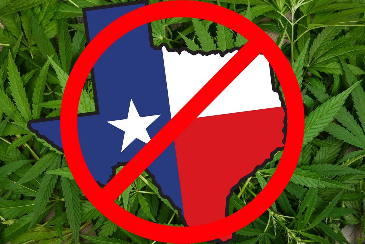 Featured image for “Delta 8 Bans: The Latest Regulations in 2025”