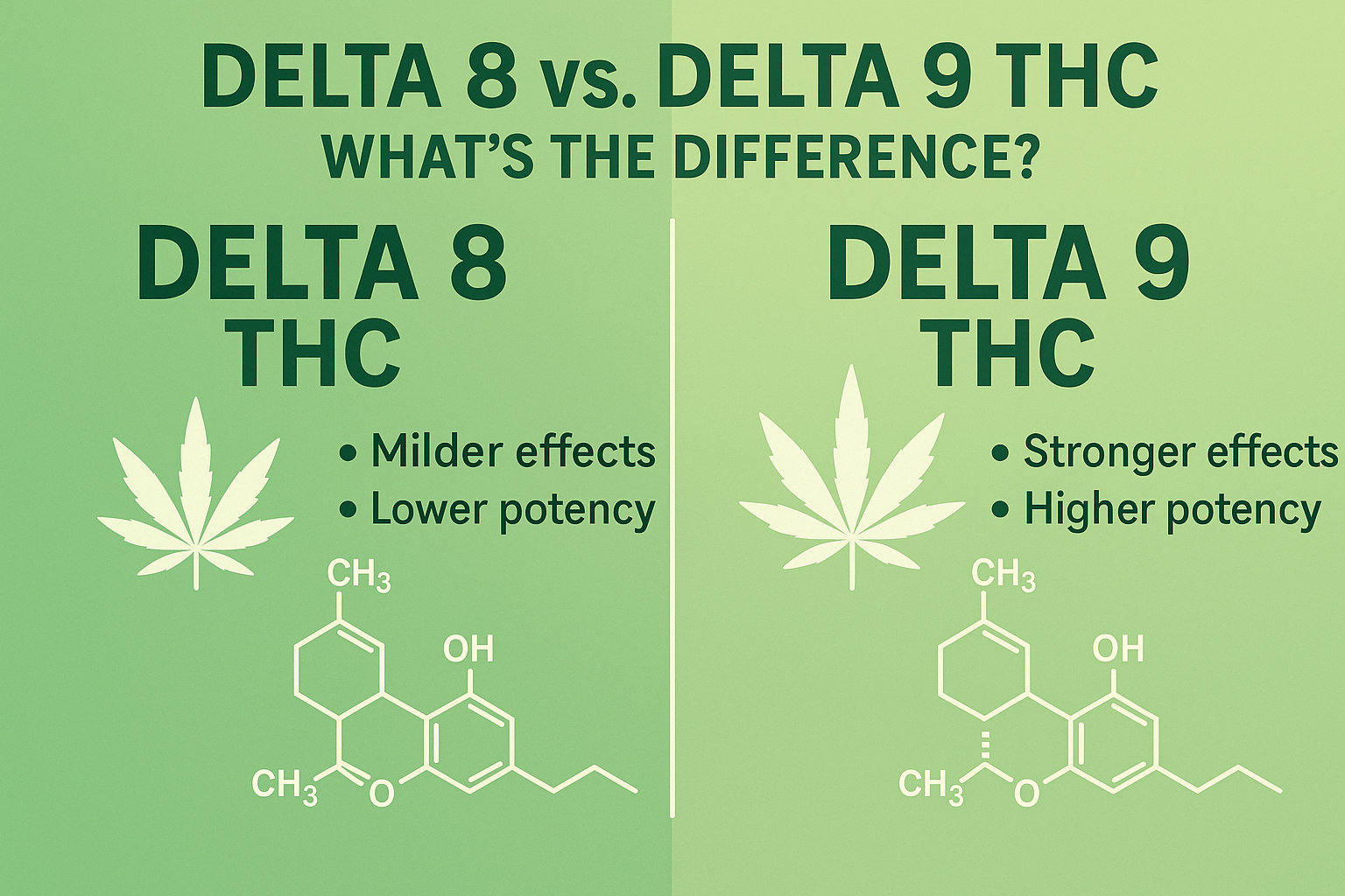 Featured image for “Delta 8 vs. Delta 9 THC: What’s the Difference?”