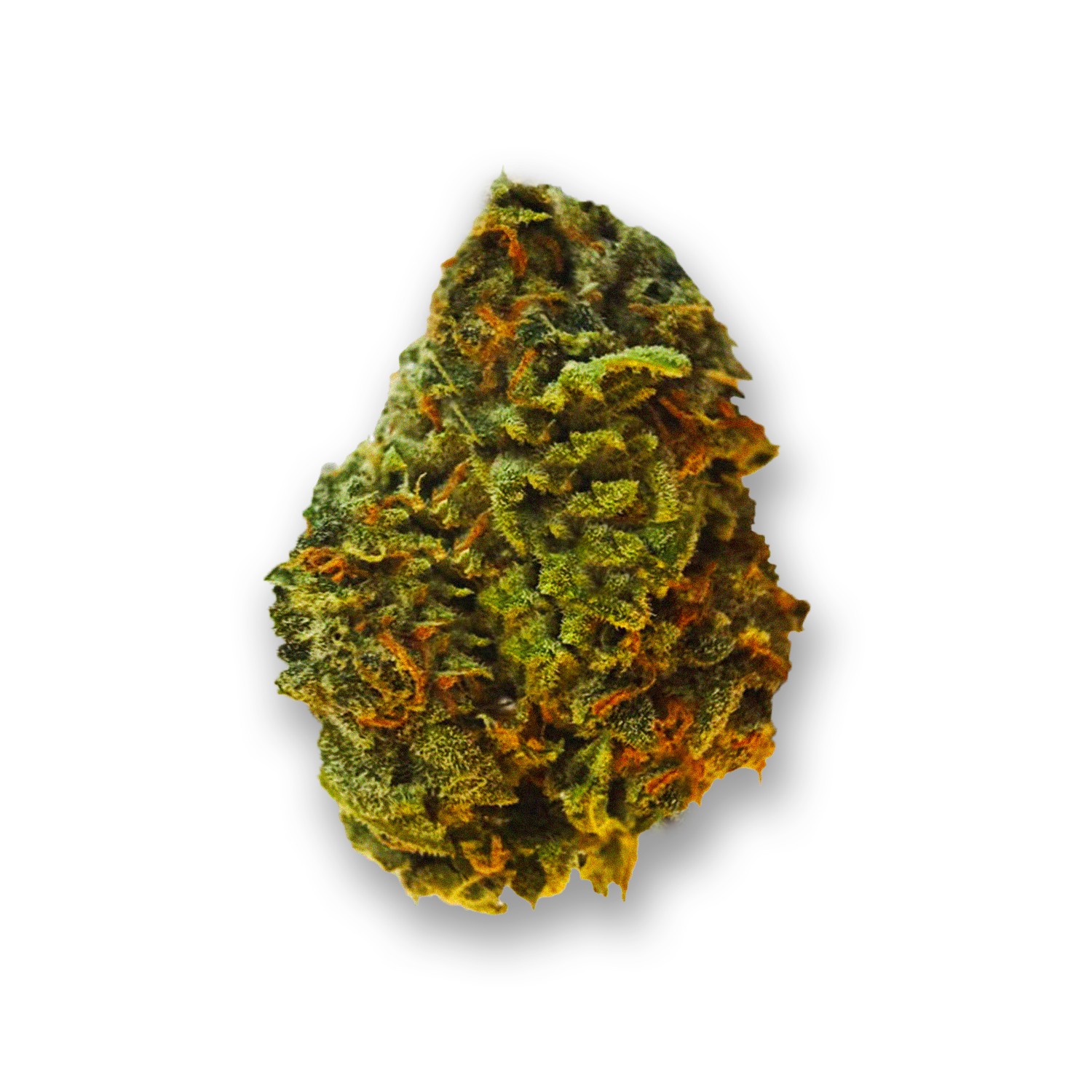 Featured image for “Dream Machine Strain”