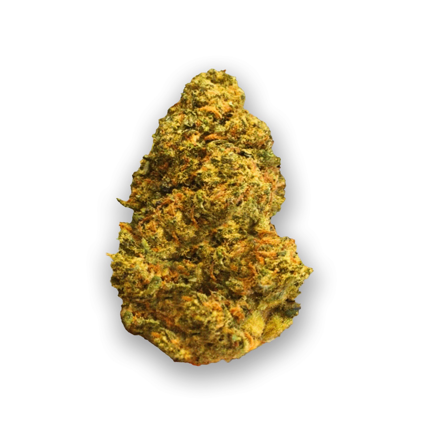 Featured image for “Durban Cheese Strain”