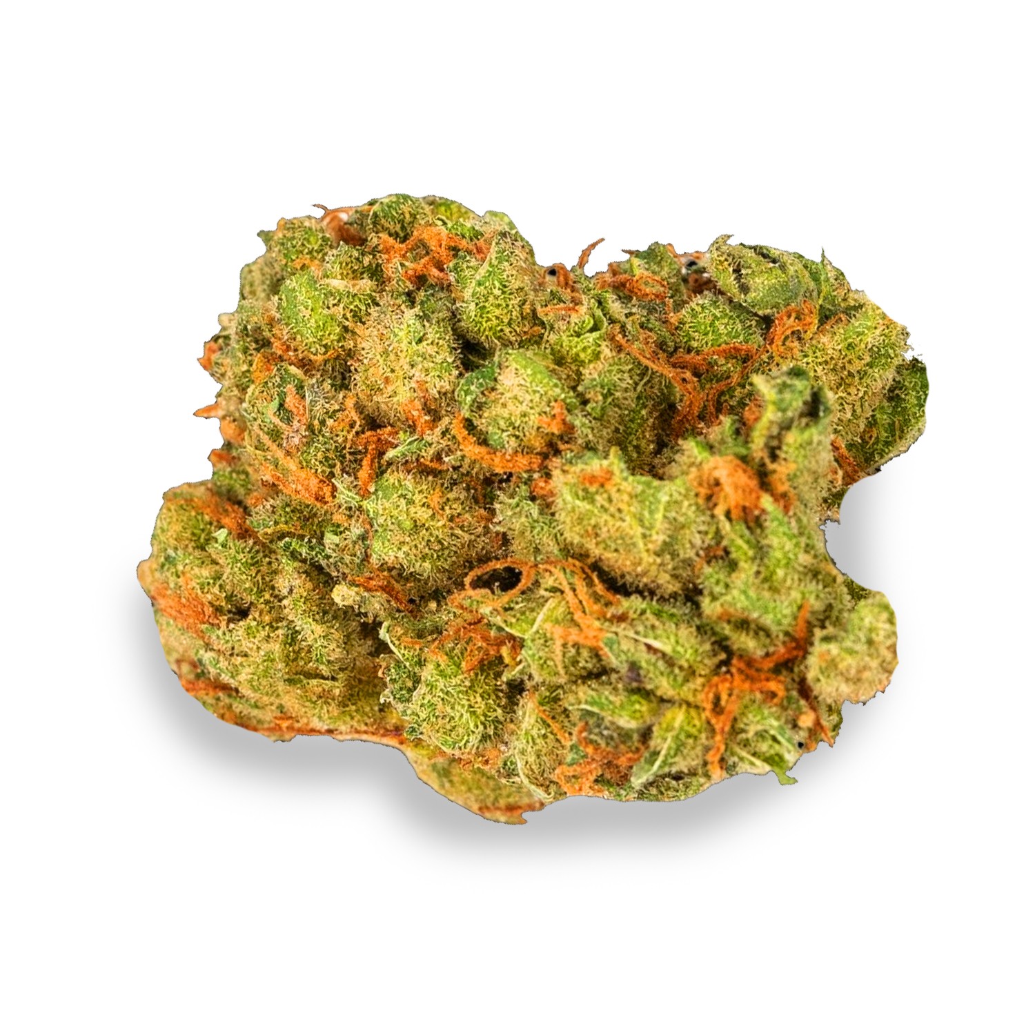 Featured image for “Edelweiss Strain”