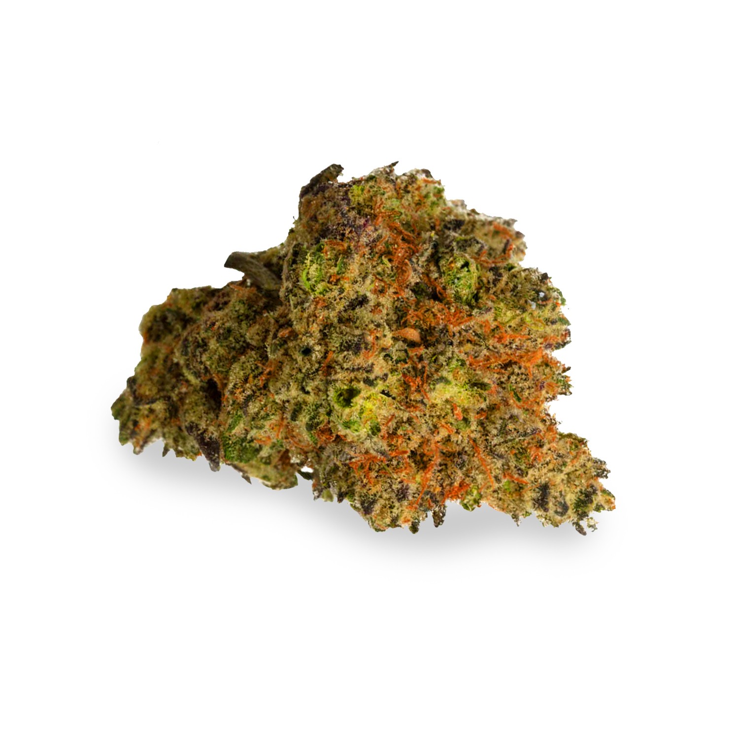 Featured image for “Exodus Cheese Strain”