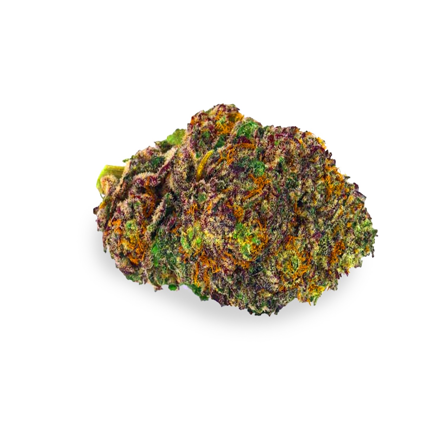 Featured image for “F1 Durb Strain”