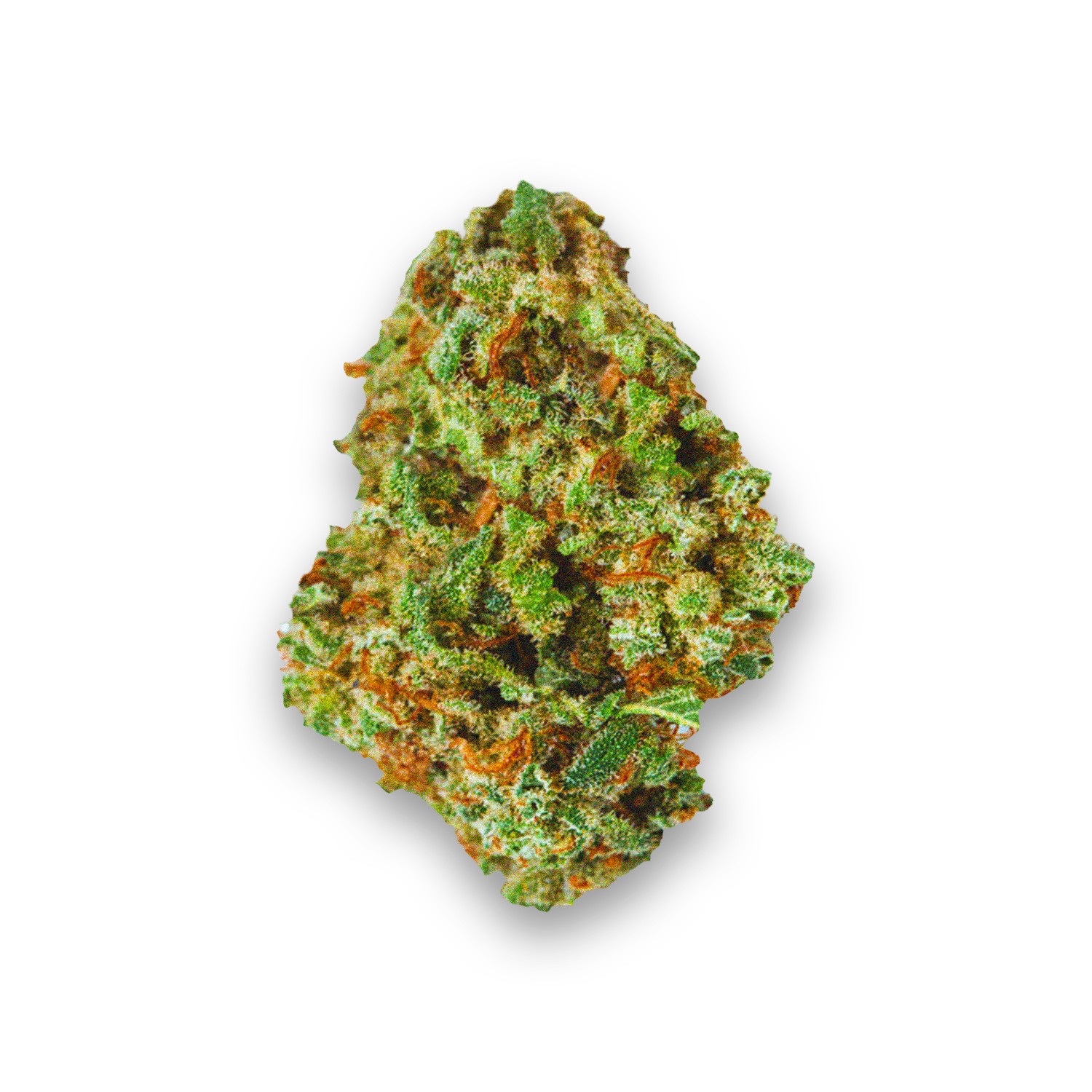 Featured image for “Freezeland Strain”