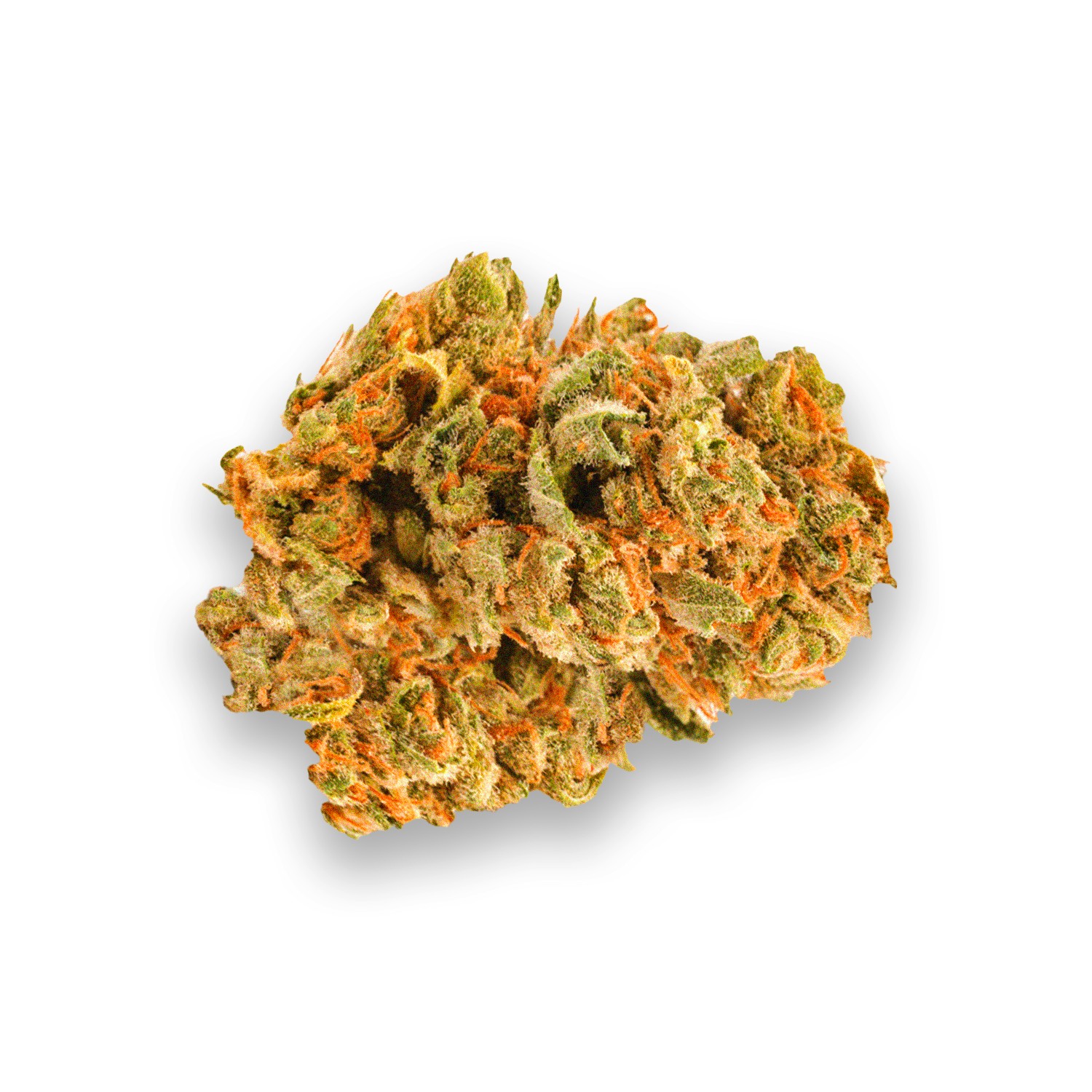 Featured image for “GG12 Strain”