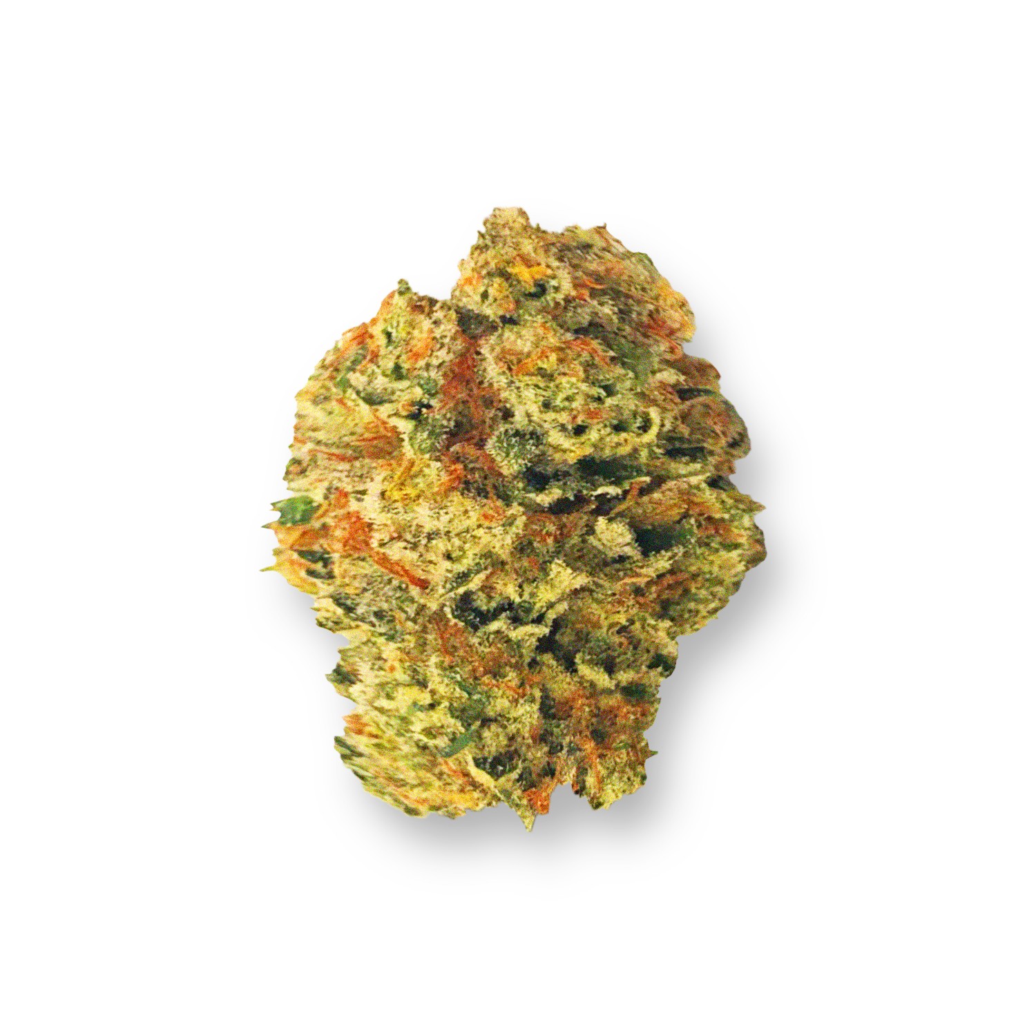 Featured image for “Gilz Nilz Strain”