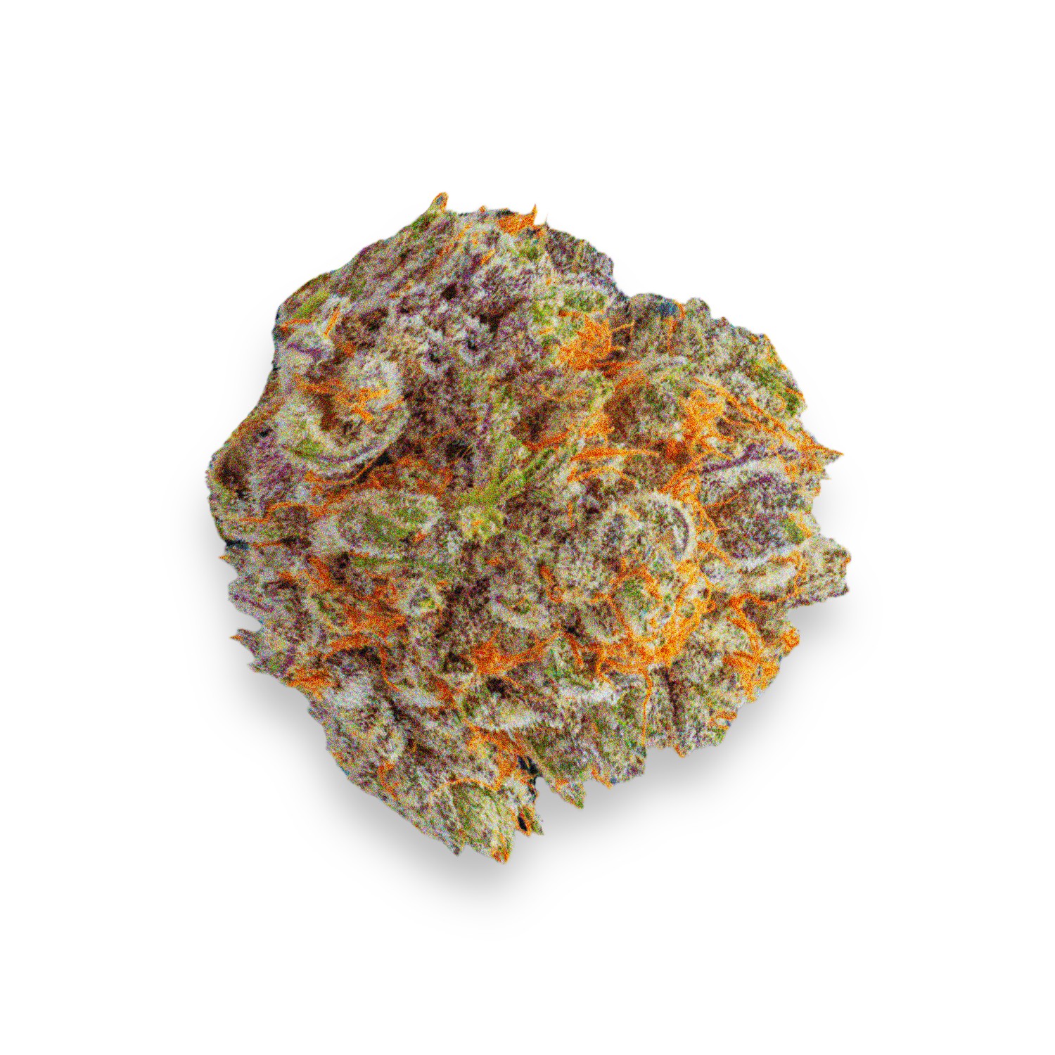 Featured image for “Goat Milk Strain”