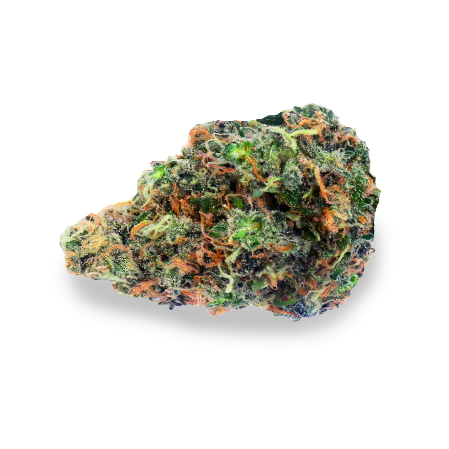 Featured image for “Gorilla Haze Strain”