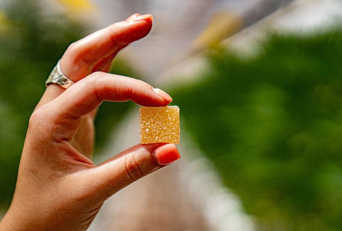 Featured image for “Do Weed Gummies Show Up on Drug Tests? What You Need to Know”