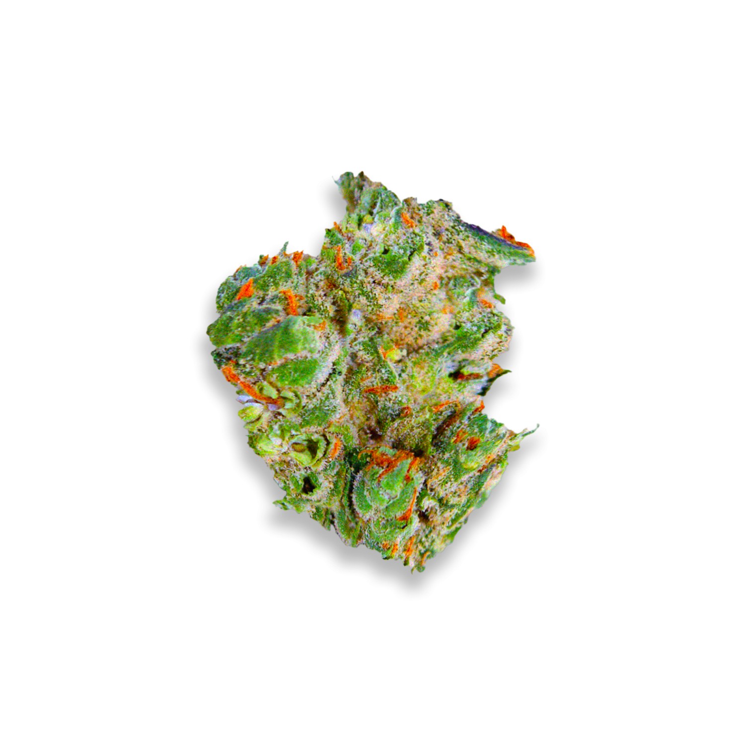 Featured image for “Gummo Strain”