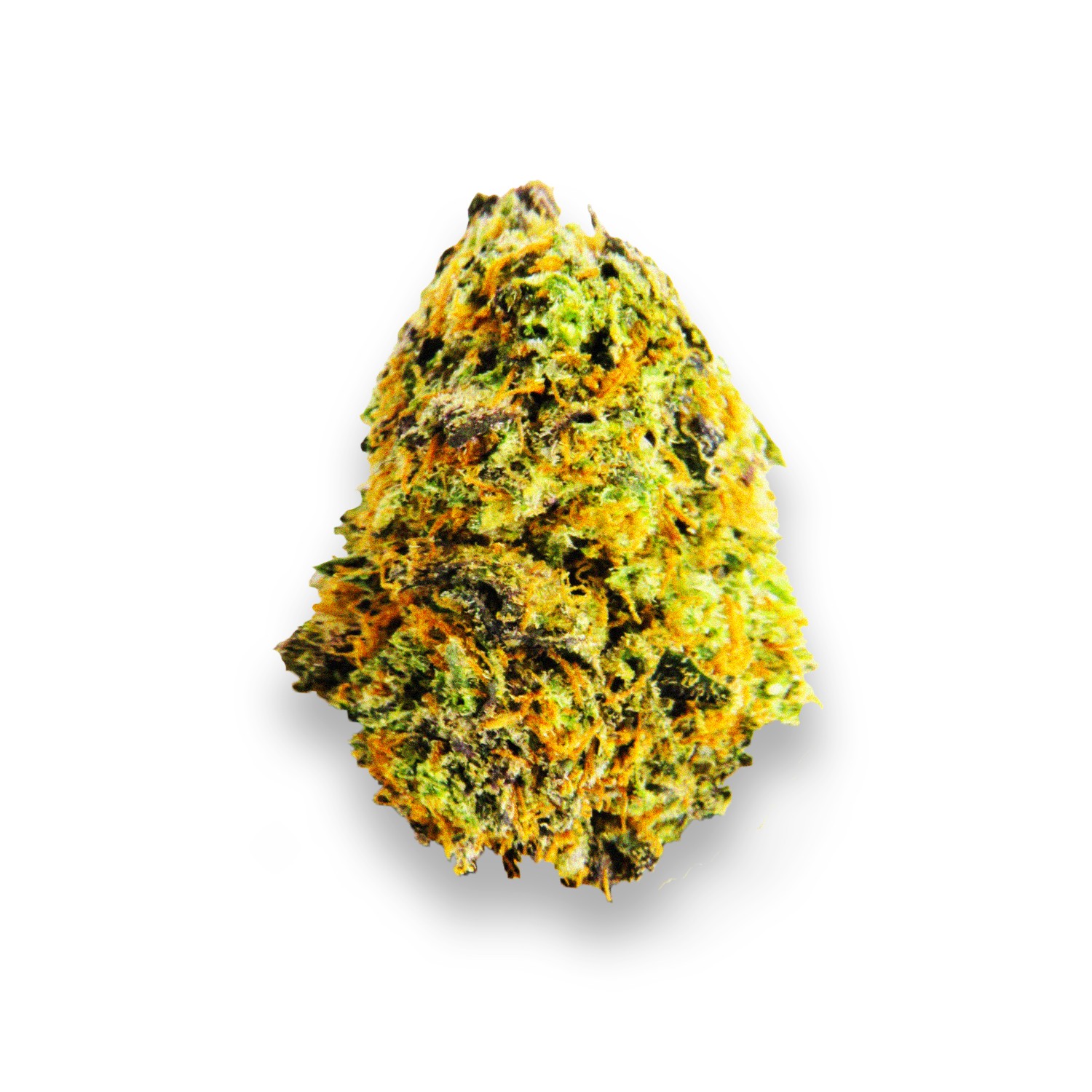 Featured image for “Gusher Pie Strain”