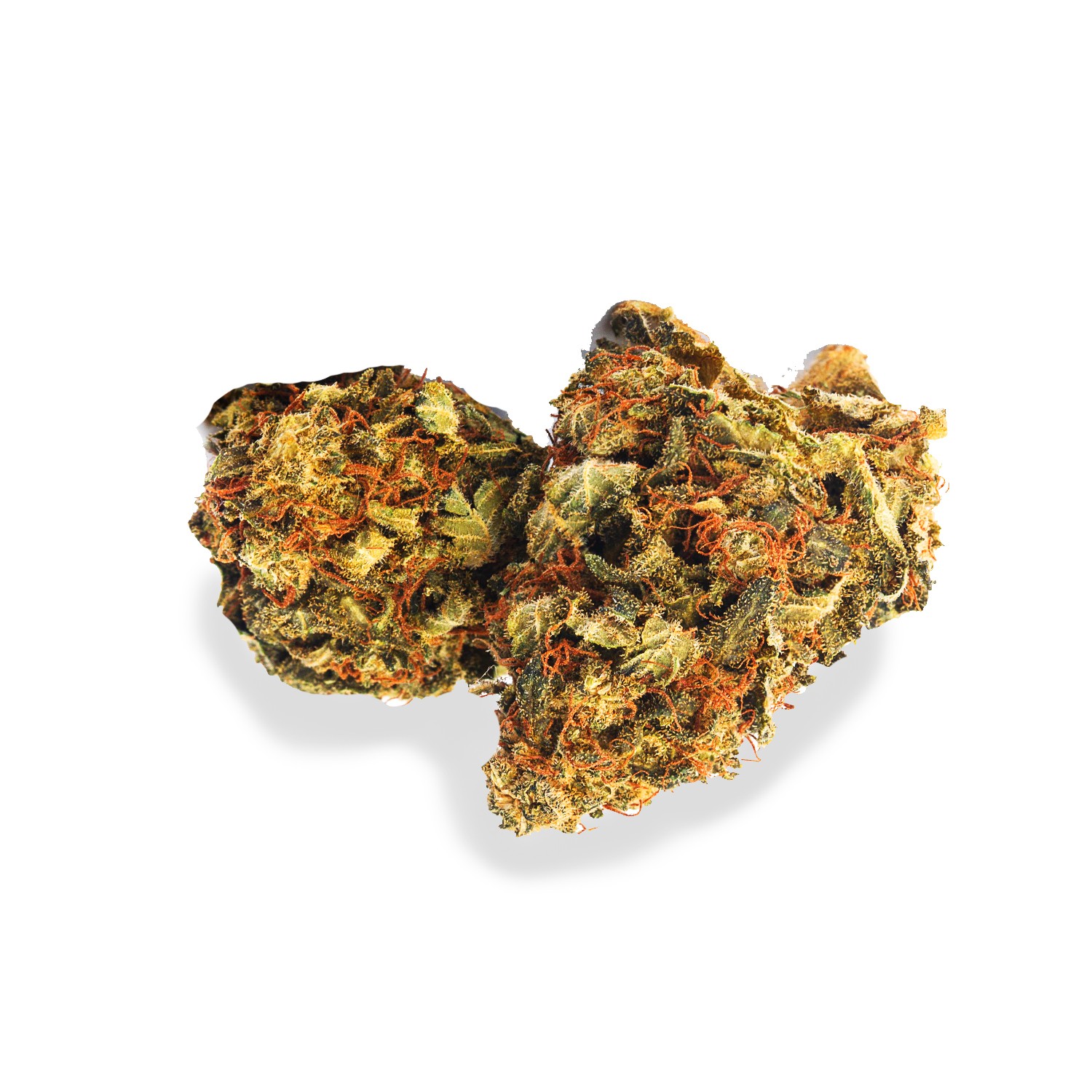 Featured image for “Hazelnut Cream Strain”