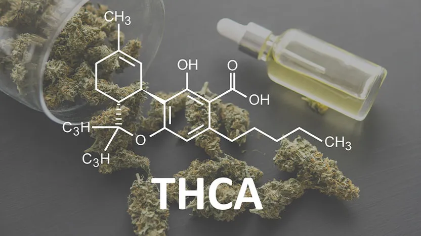 Featured image for “THCA Dosage: How Much Should You Take?”