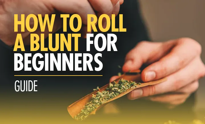 Featured image for “How To Roll a Blunt”