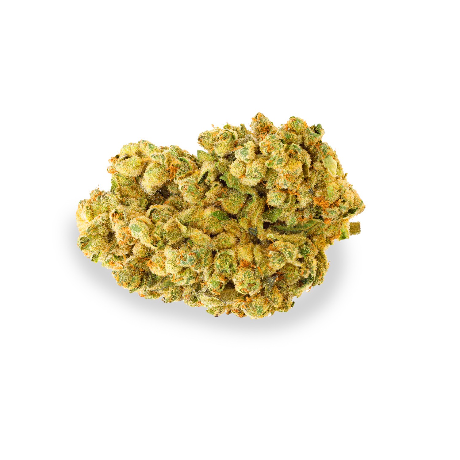 Featured image for “Hurricane Strain”