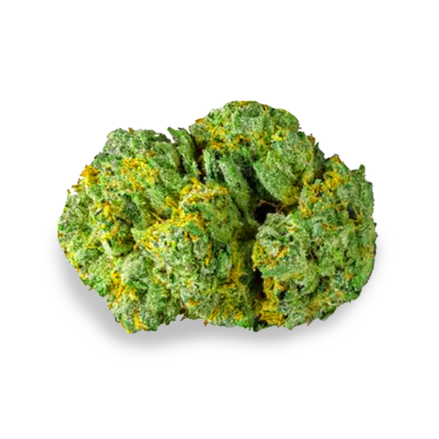 Featured image for “Ice Queen Strain”