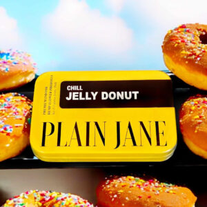 indoor_tin_jelly_doughnut__16664.1736038497