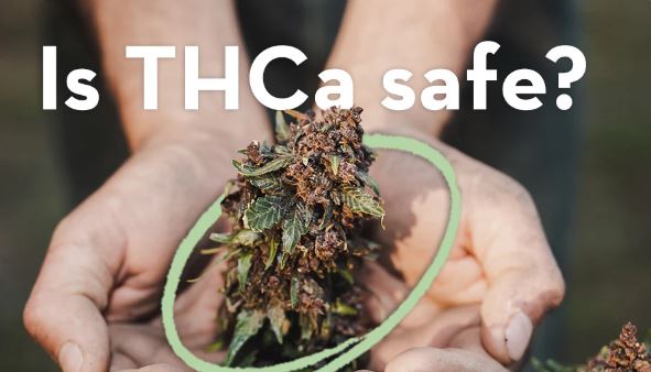 Side Effects and Safety