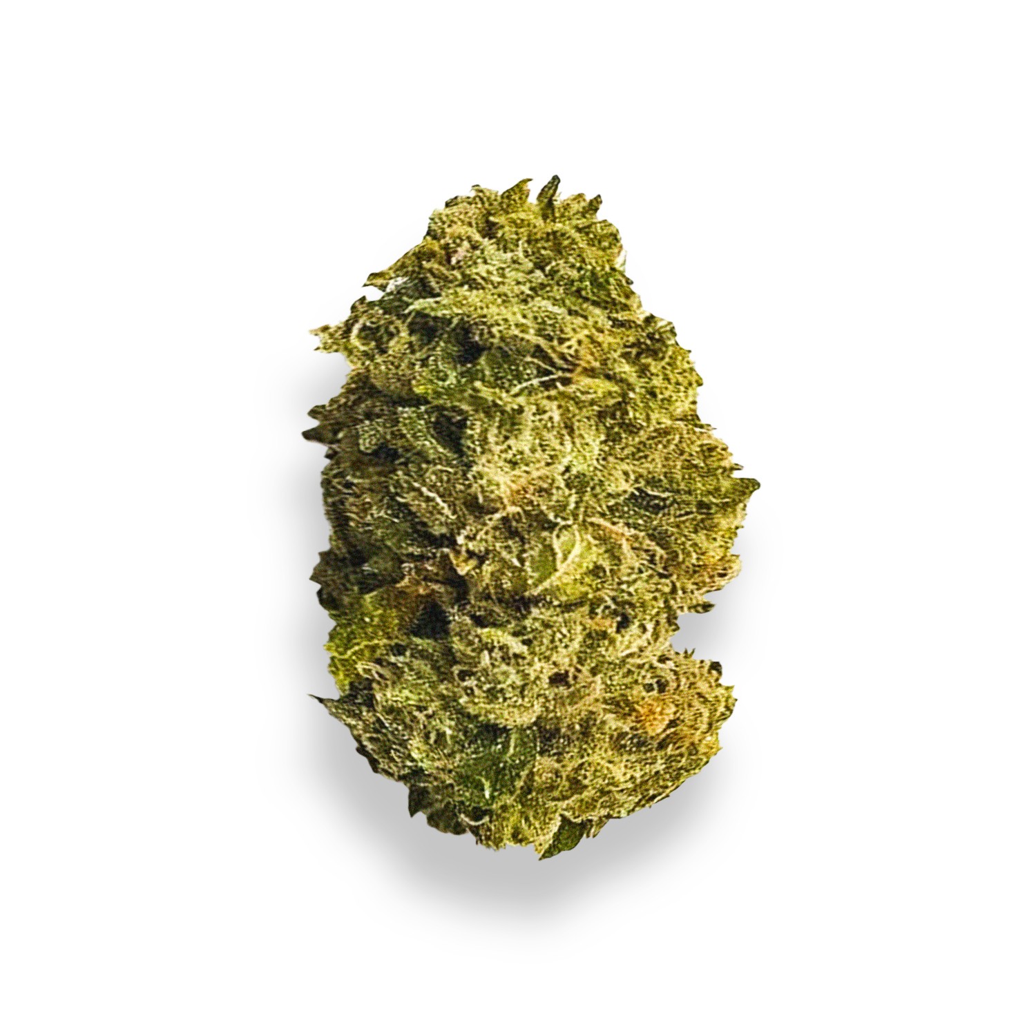 Featured image for “Jamaican Strain”