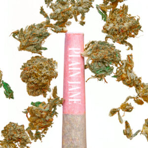 joint_close_up__31358.1741801604