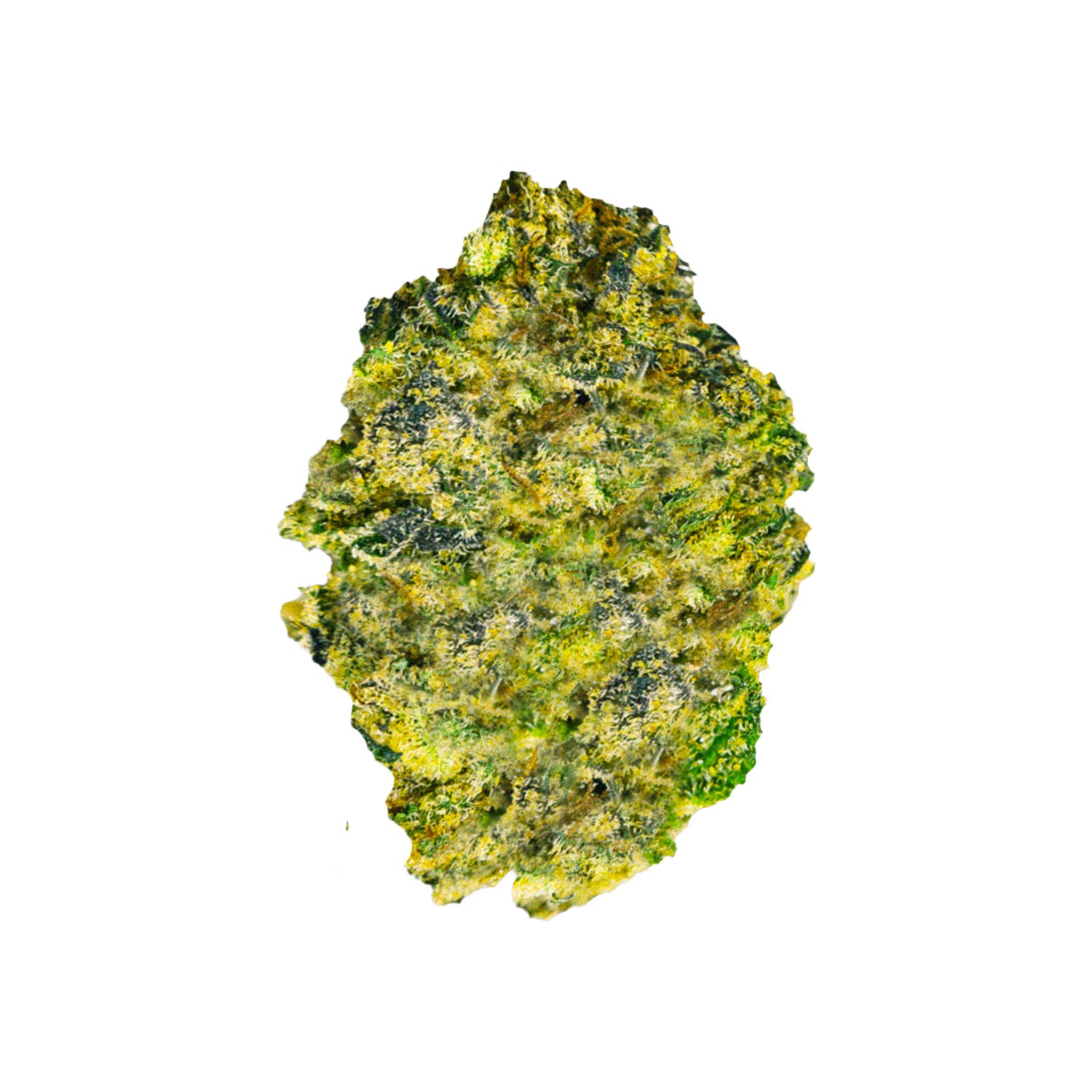 Featured image for “JR Strain”