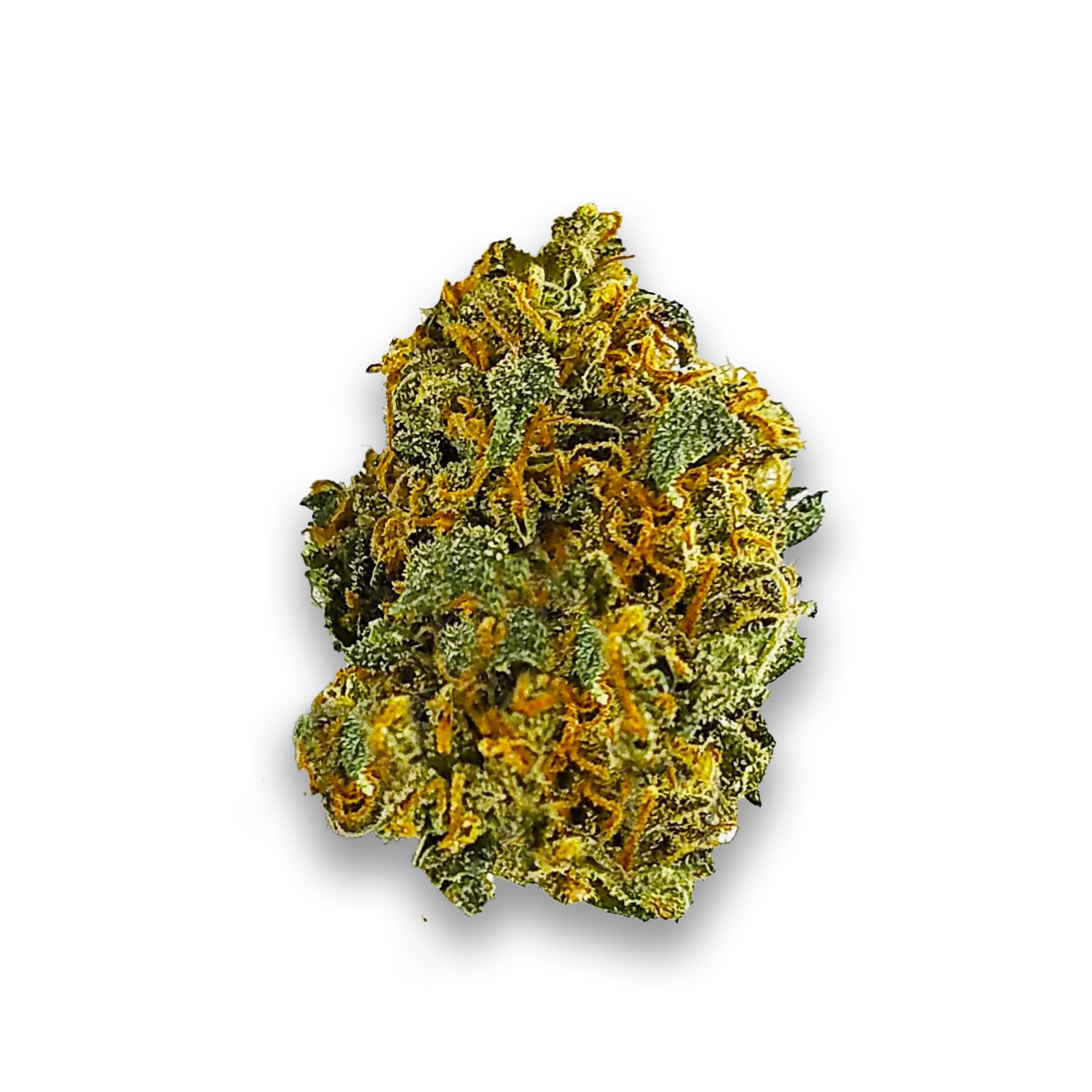 Featured image for “K2 Strain”