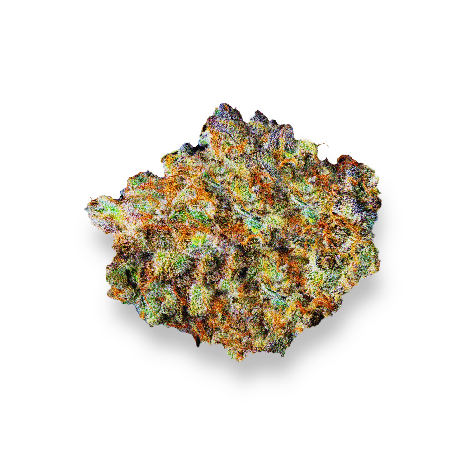 Featured image for “King Louis Strain”