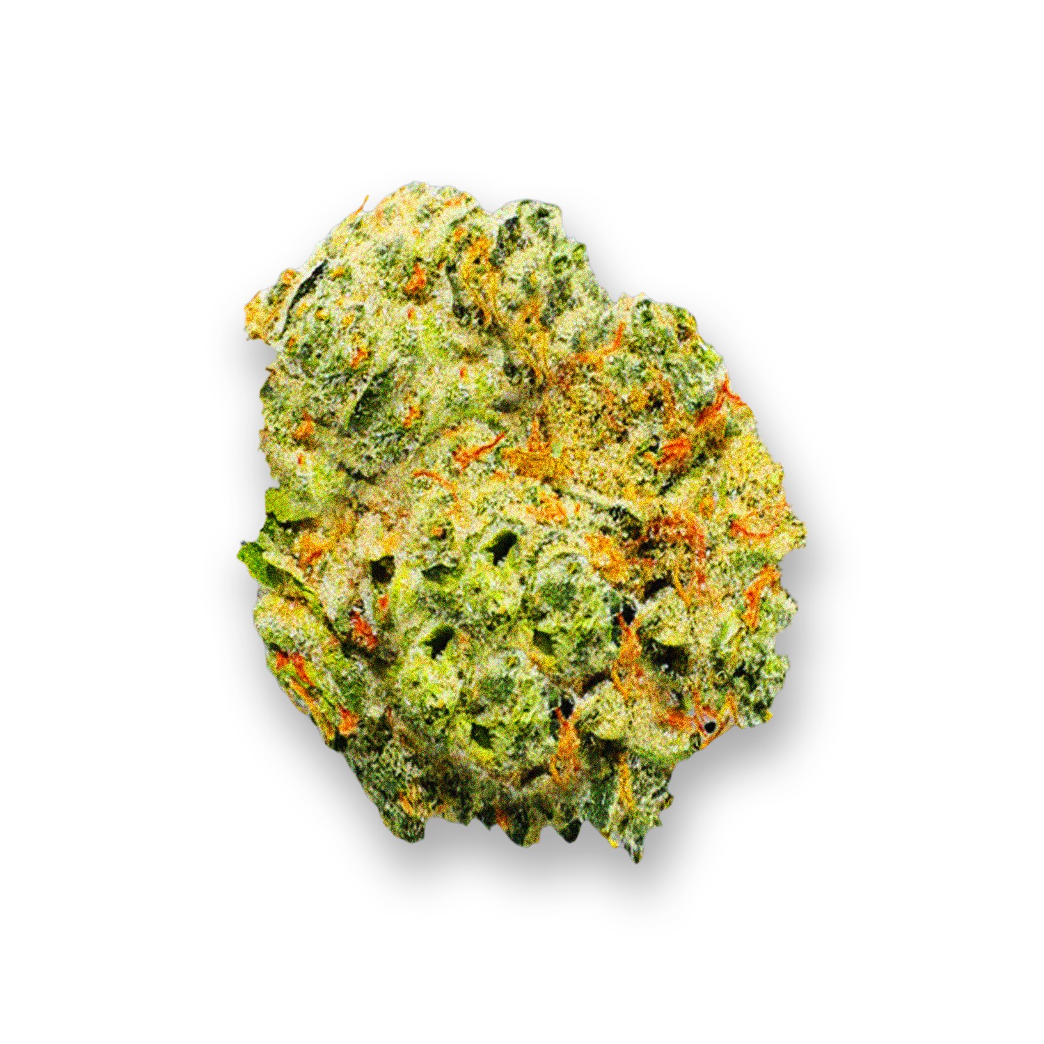 Featured image for “Kitchen Sink Strain”