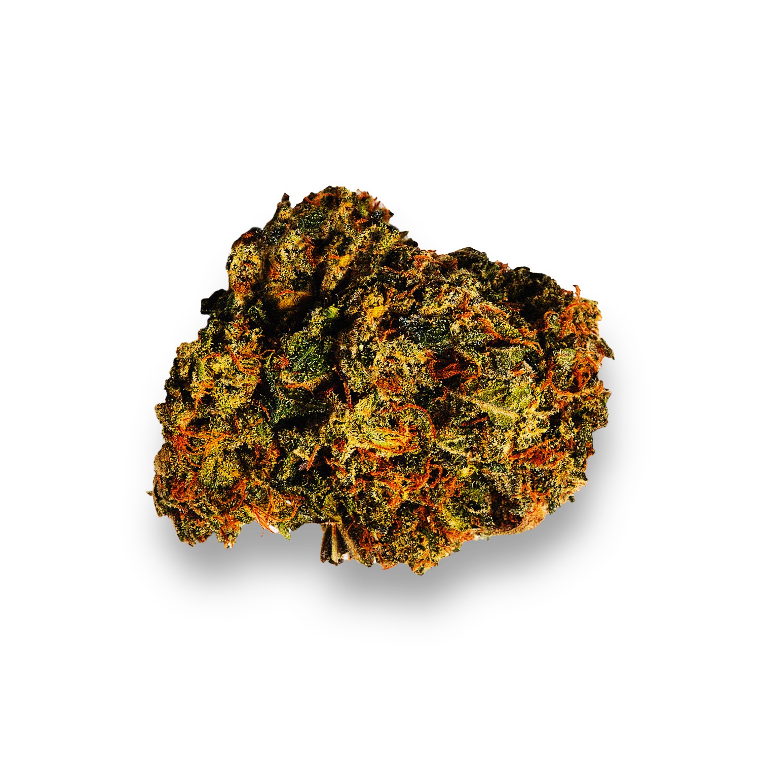 Featured image for “Kraken Strain”