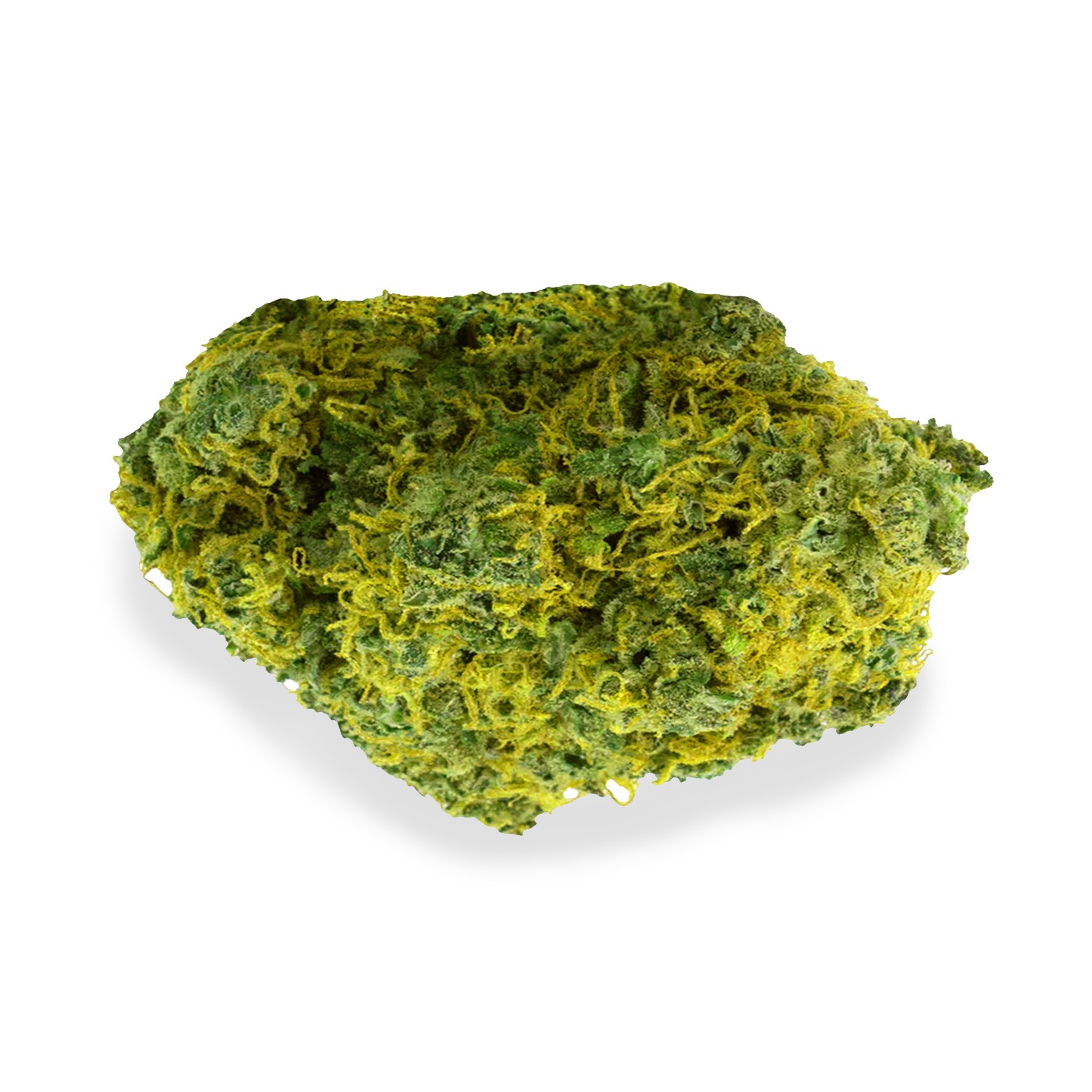 Featured image for “La Bomba Strain”