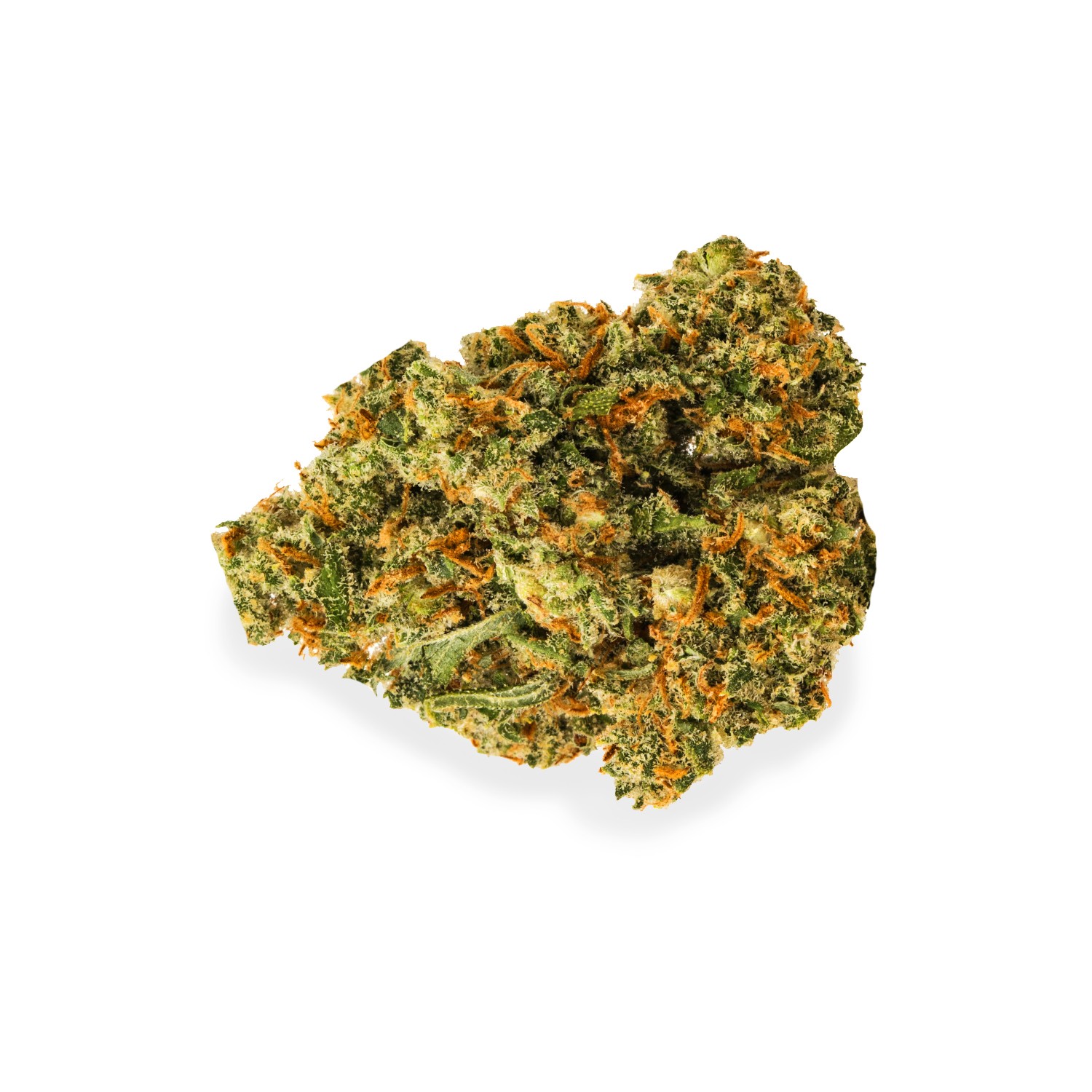 Featured image for “Laughing Buddha Strain”