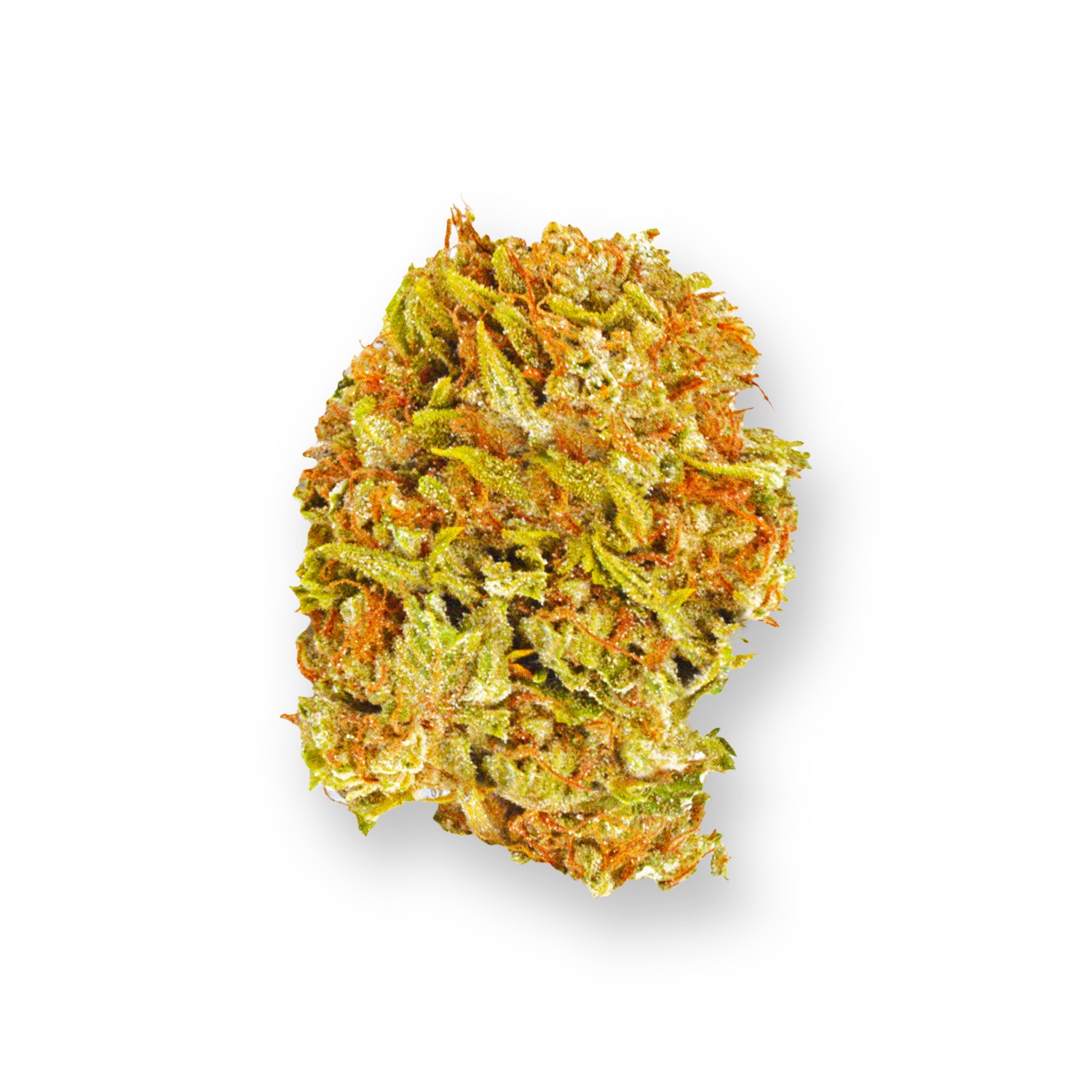 Featured image for “Lemon Crème Strain”