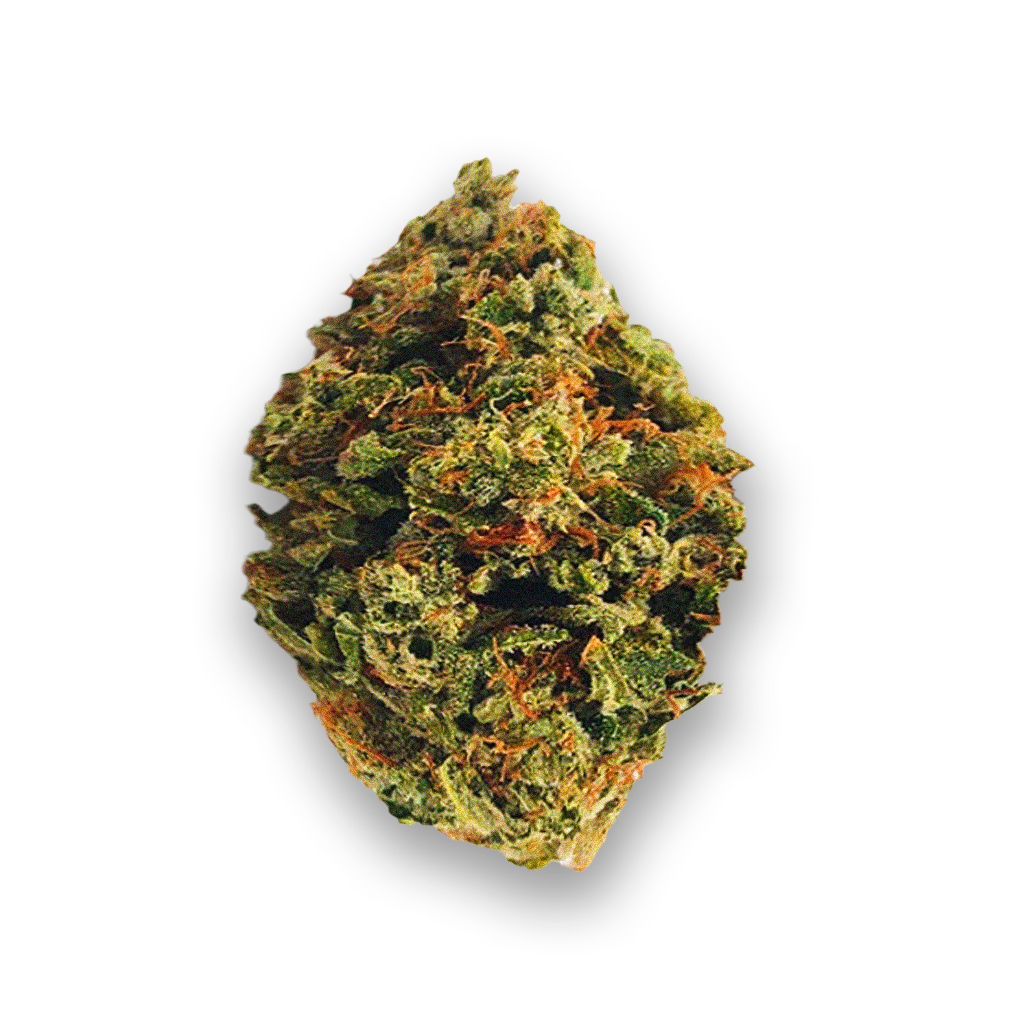 Featured image for “Lemonhead OG Strain”