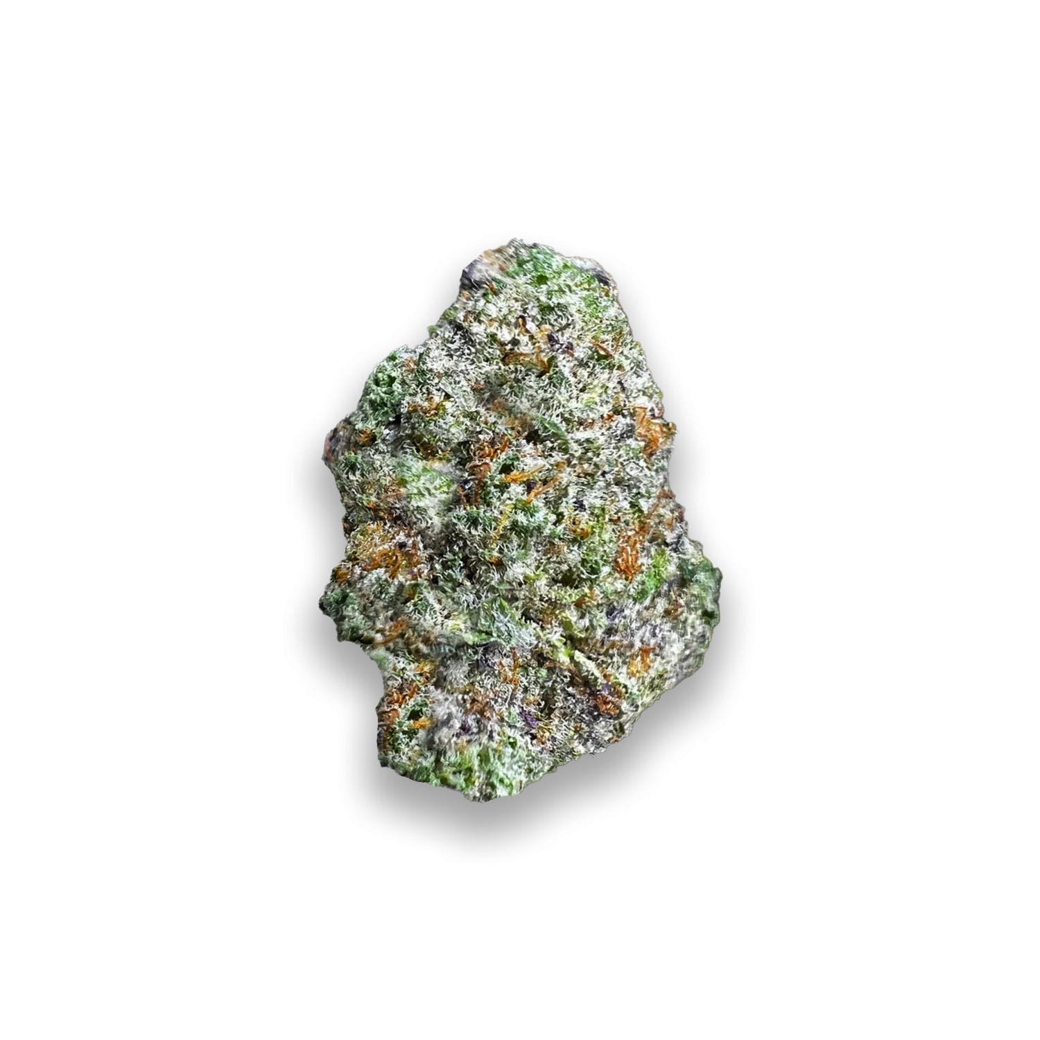 Featured image for “Lost Coast Ghost Strain”