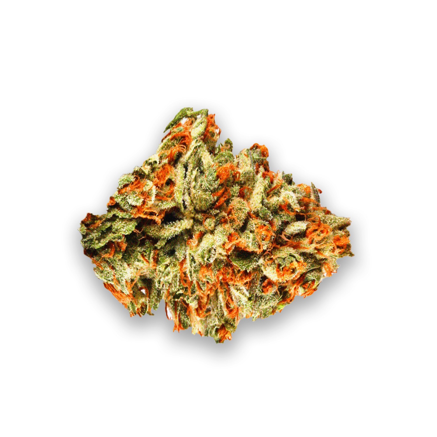 Featured image for “Loud Lemonade Strain”