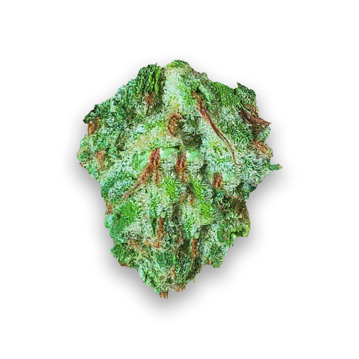 Featured image for “Lucky Strain”