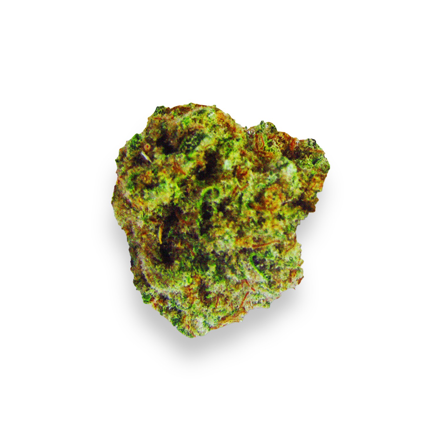 Featured image for “Mac and Cheese Strain”