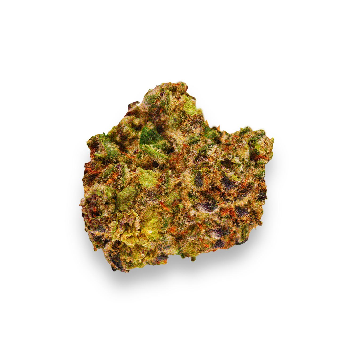 Featured image for “Macnanna Strain”