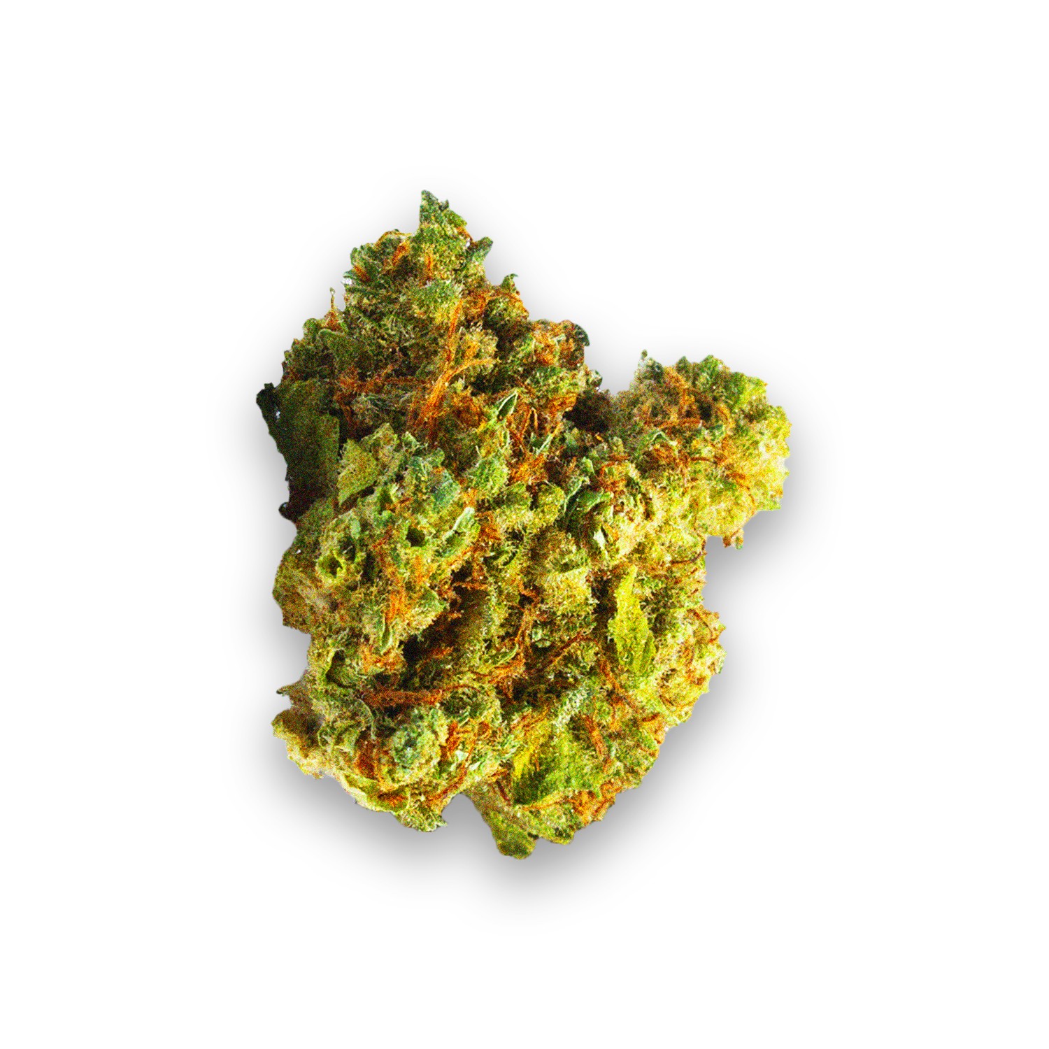 Featured image for “Mango Haze Strain”