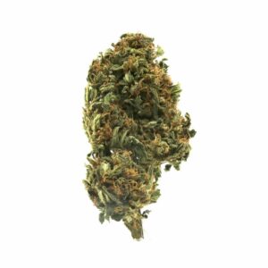 Mango Kush Delta 8 Flower