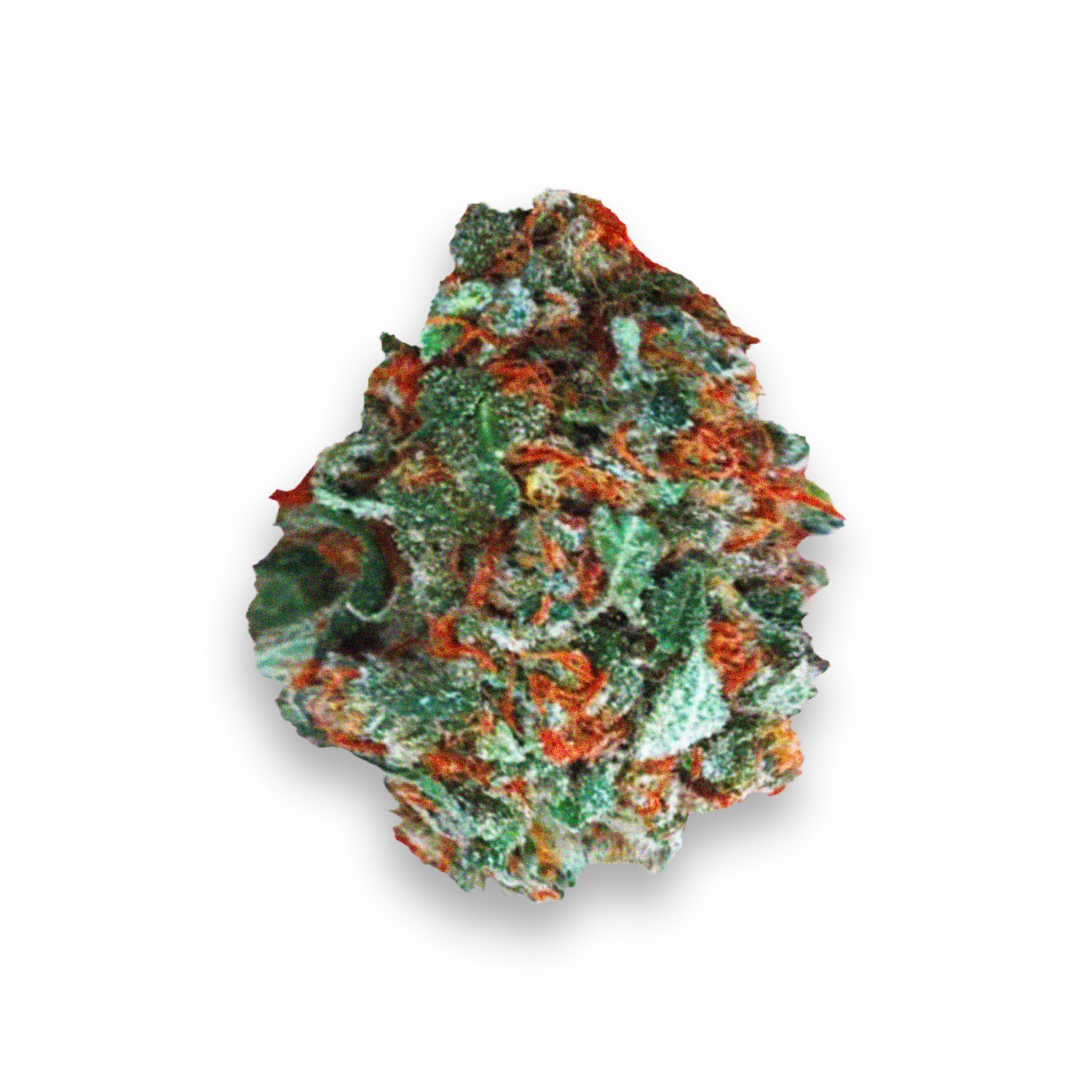 Featured image for “Marionberry Kush Strain”