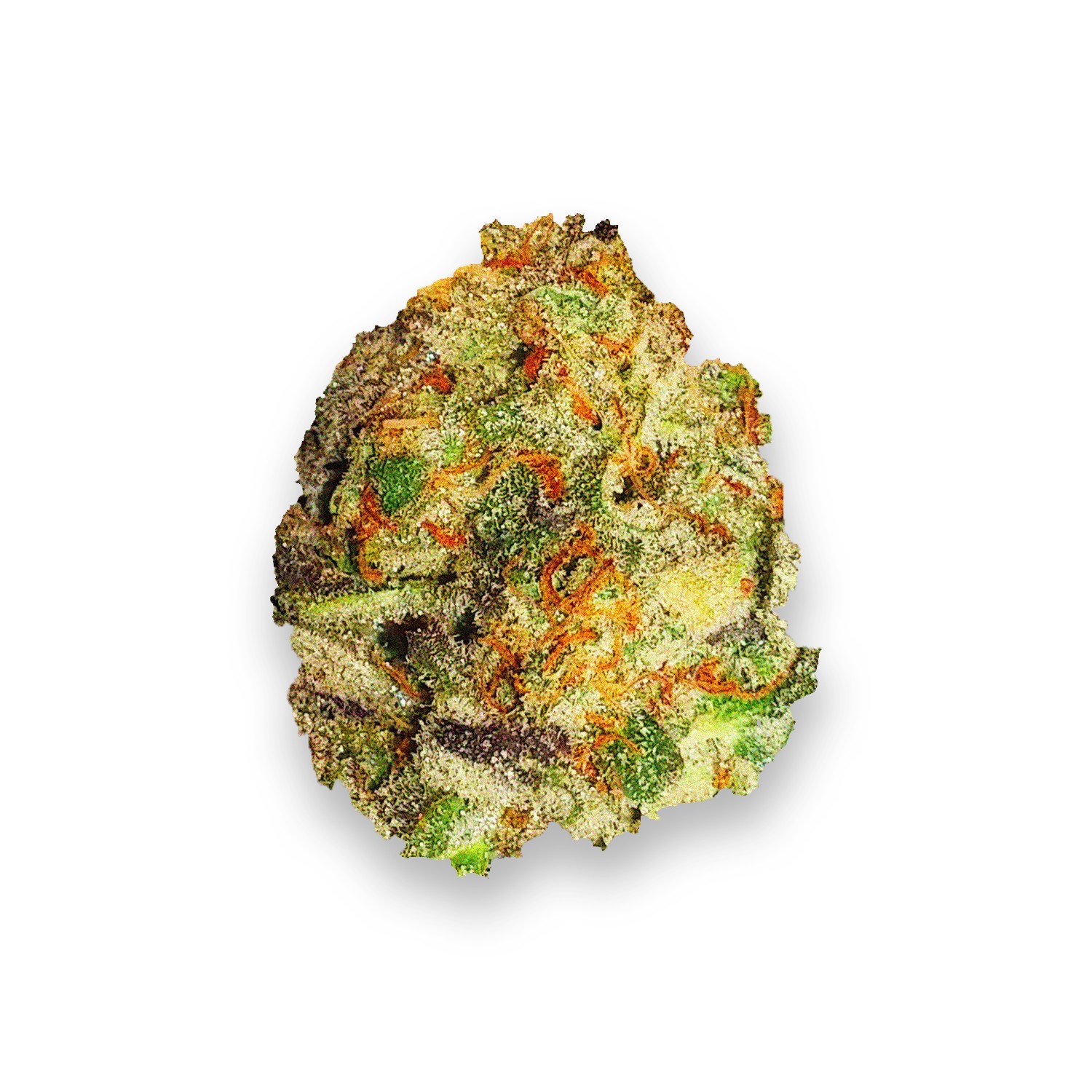 Featured image for “Marionberry Pie Strain”
