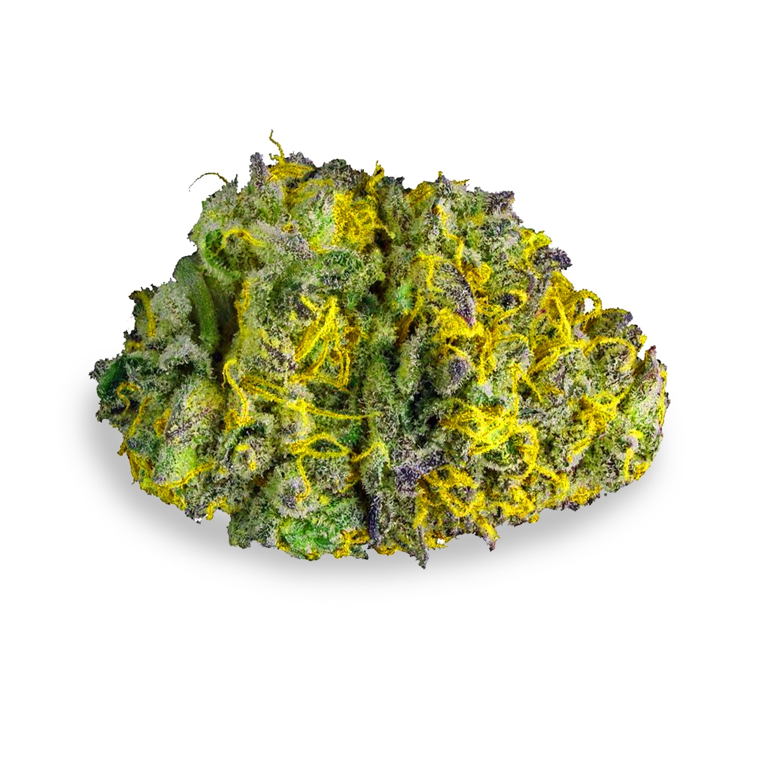 Featured image for “Mendo Montage Strain”